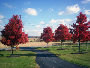 landscaping plymouth