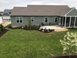 backyard landscape