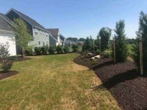 backyard landscaping