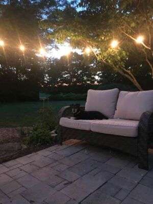 landscape lighting